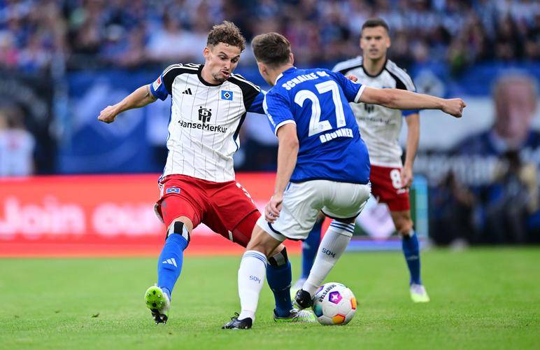 沙尔克计划在主场击败不来梅 沙尔克计划在主场击败不来梅